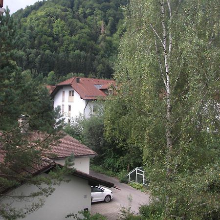 Appartemant Steineberg อิมเมนชตัดท์ อิม อัลล์กอย ภายนอก รูปภาพ